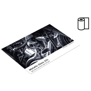 Metallic Gloss 255 03